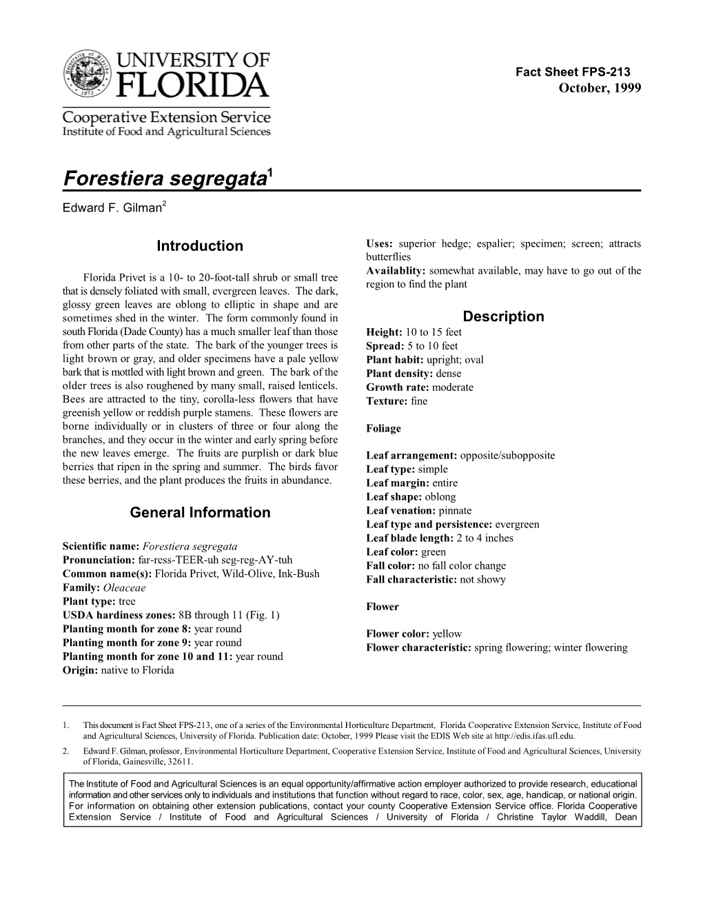 Forestiera Segregata1