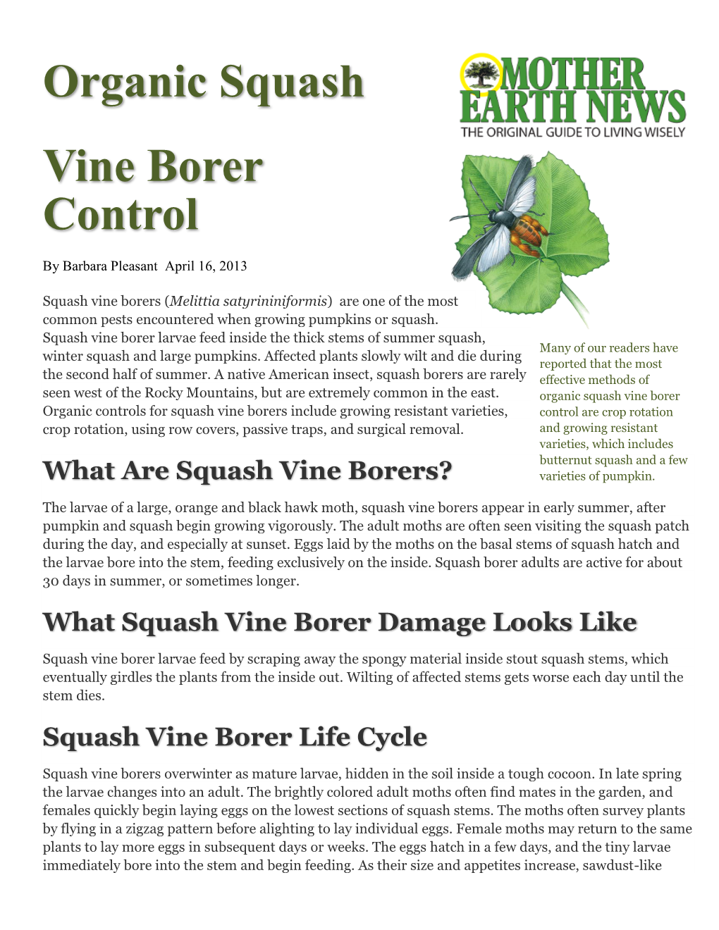 Organic Squash Vine Borer Control