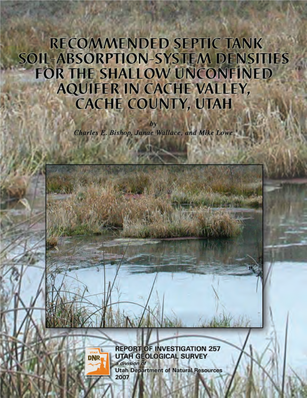 REPORT of INVESTIGATION 257 UTAH GEOLOGICAL SURVEY a Division of Utah Department of Natural Resources 2007 STATE of UTAH Jon Huntsman, Jr., Governor