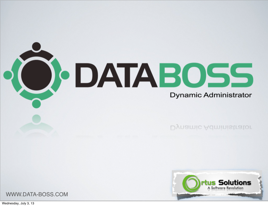 Databoss-Overview.Pdf