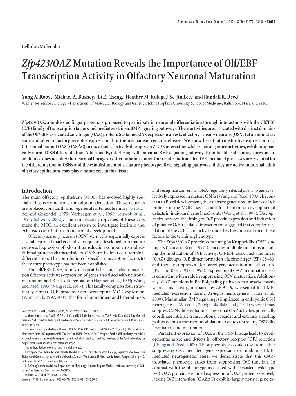 Zfp423/Oazmutation Reveals the Importance of Olf/EBF Transcription