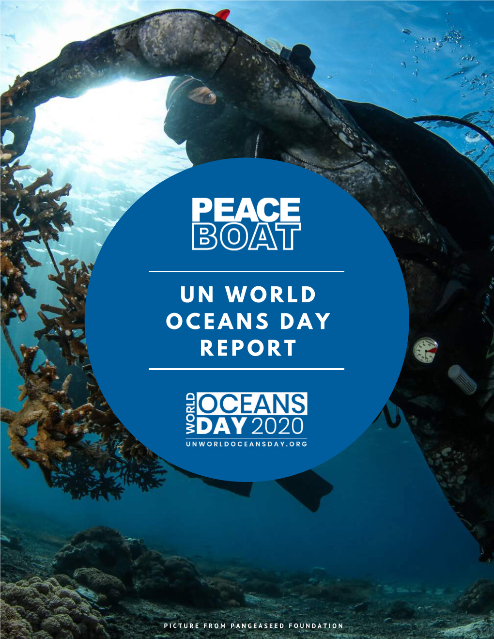 Un World Oceans Day Report