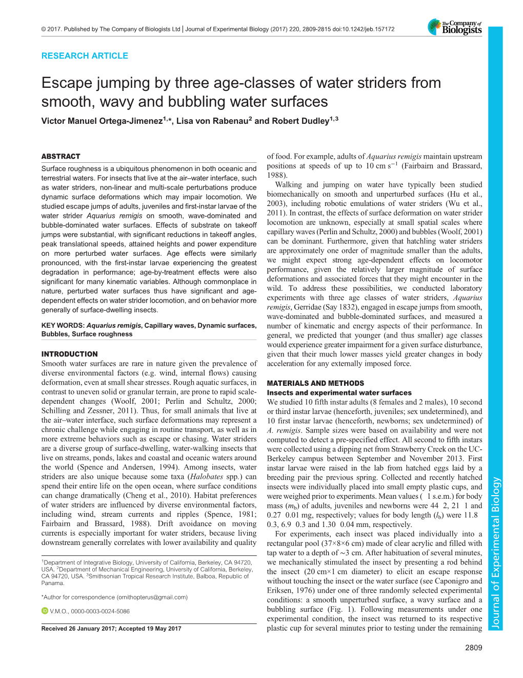 Escape Jumping by Three Age-Classes of Water Striders from Smooth, Wavy