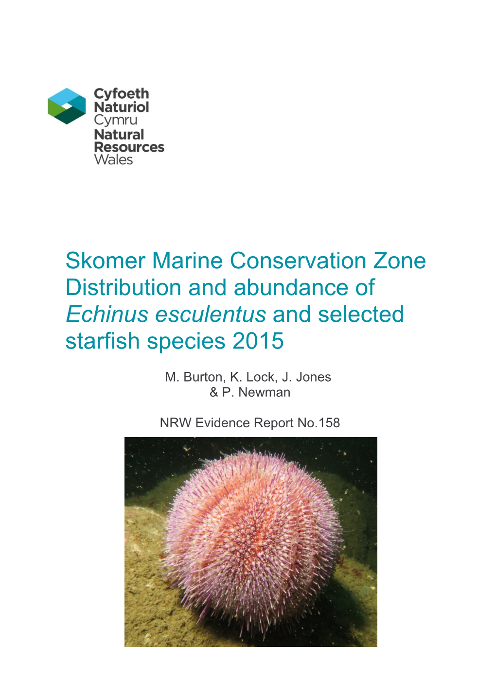 Skomer Marine Conservation Zone Distribution and Abundance of Echinus Esculentus and Selected Starfish Species 2015