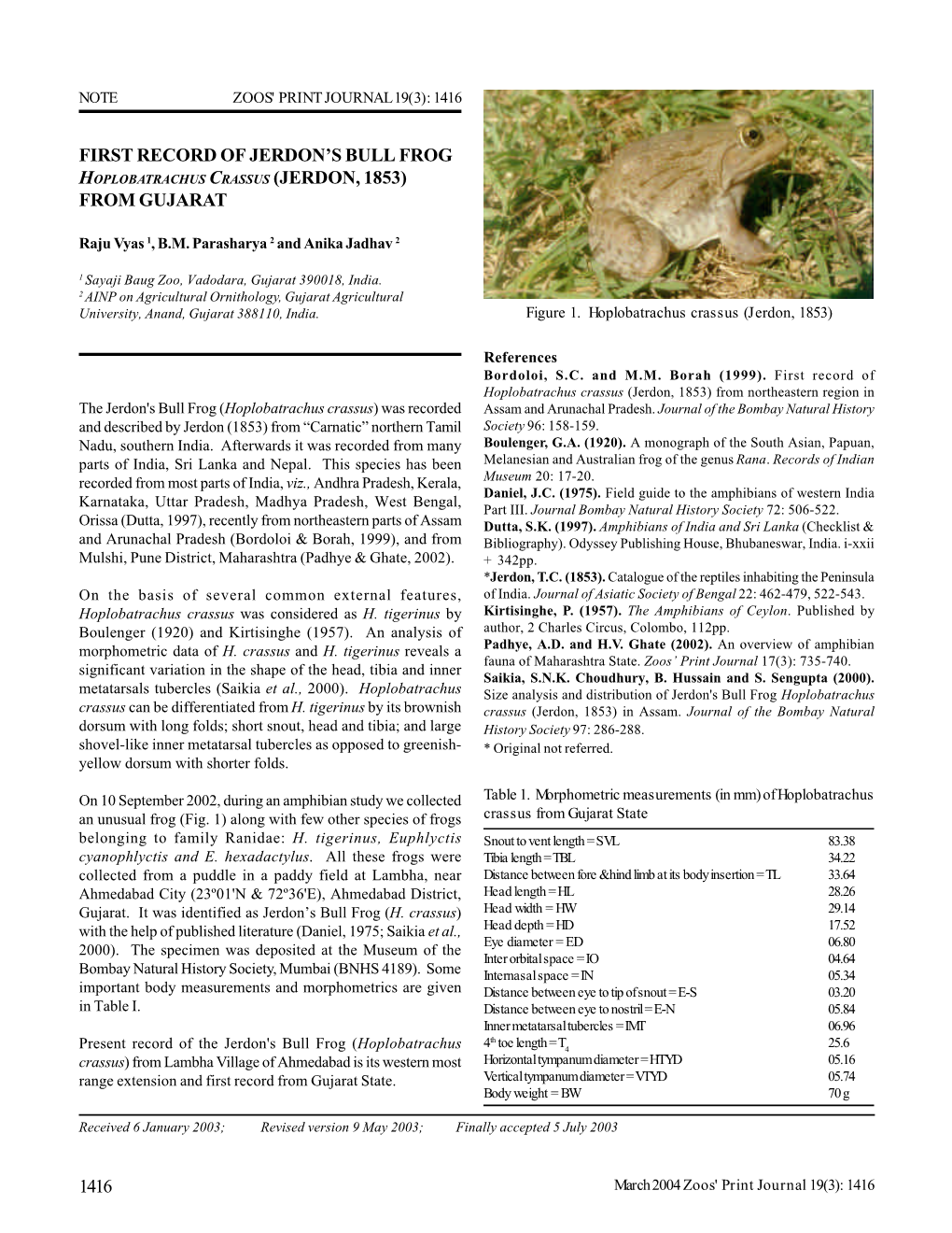First Record of Jerdon's Bull Frog Hoplobatrachus Crassus