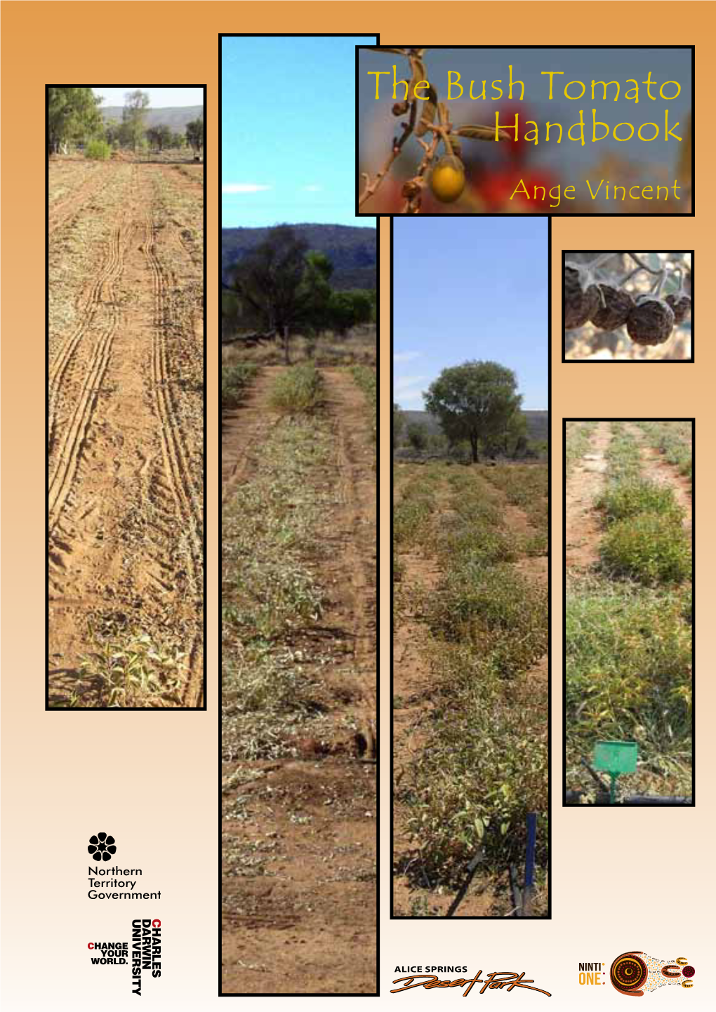 The Bush Tomato Handbook Ange Vincent Contributing Author Information