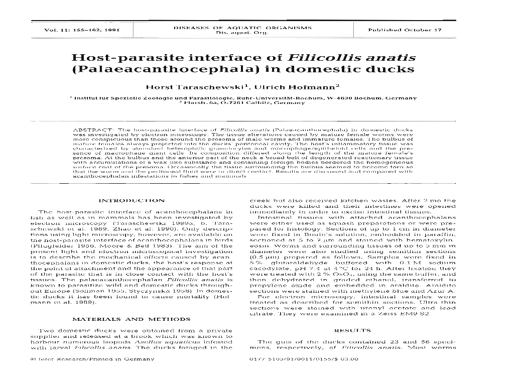 Host-Parasite Interface of Filicollis Anatis (Palaeacanthocephala) in Domestic Ducks