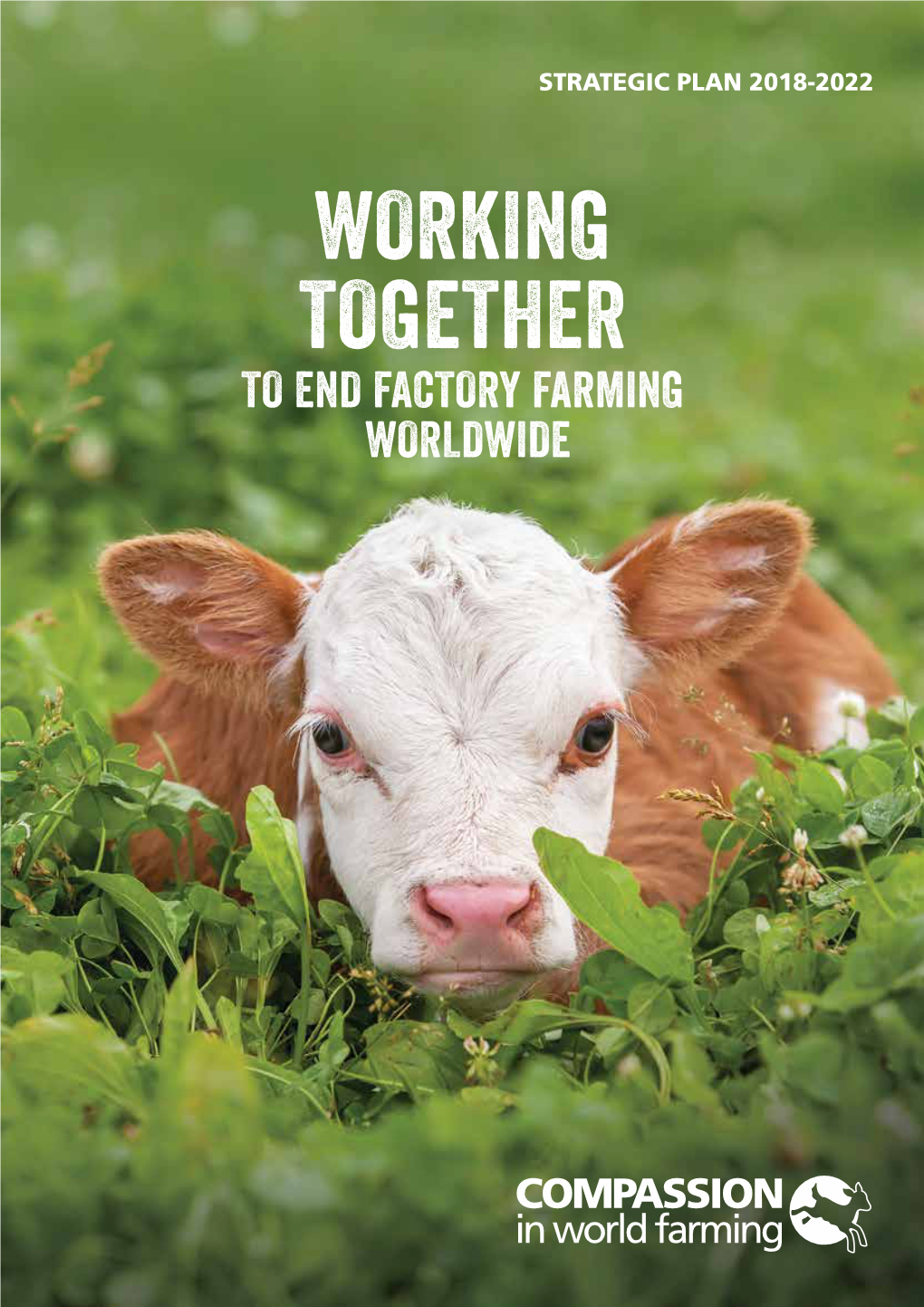 Strategic Plan 2018-2022 Working Together to End Factory Farming Worldwide