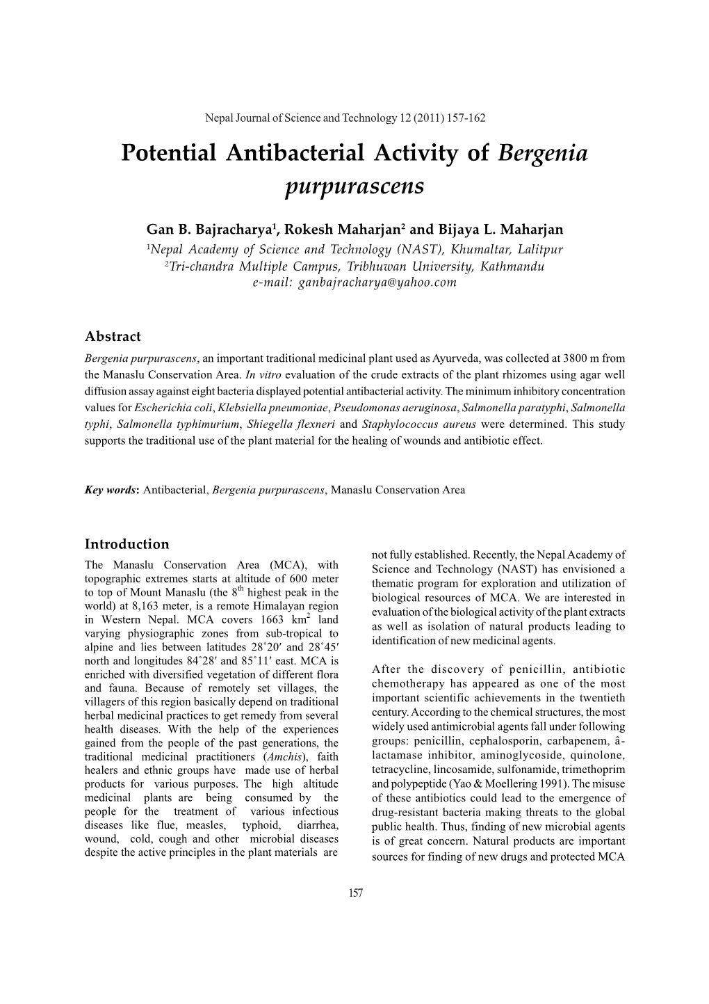 Potential Antibacterial Activity of Bergenia Purpurascens