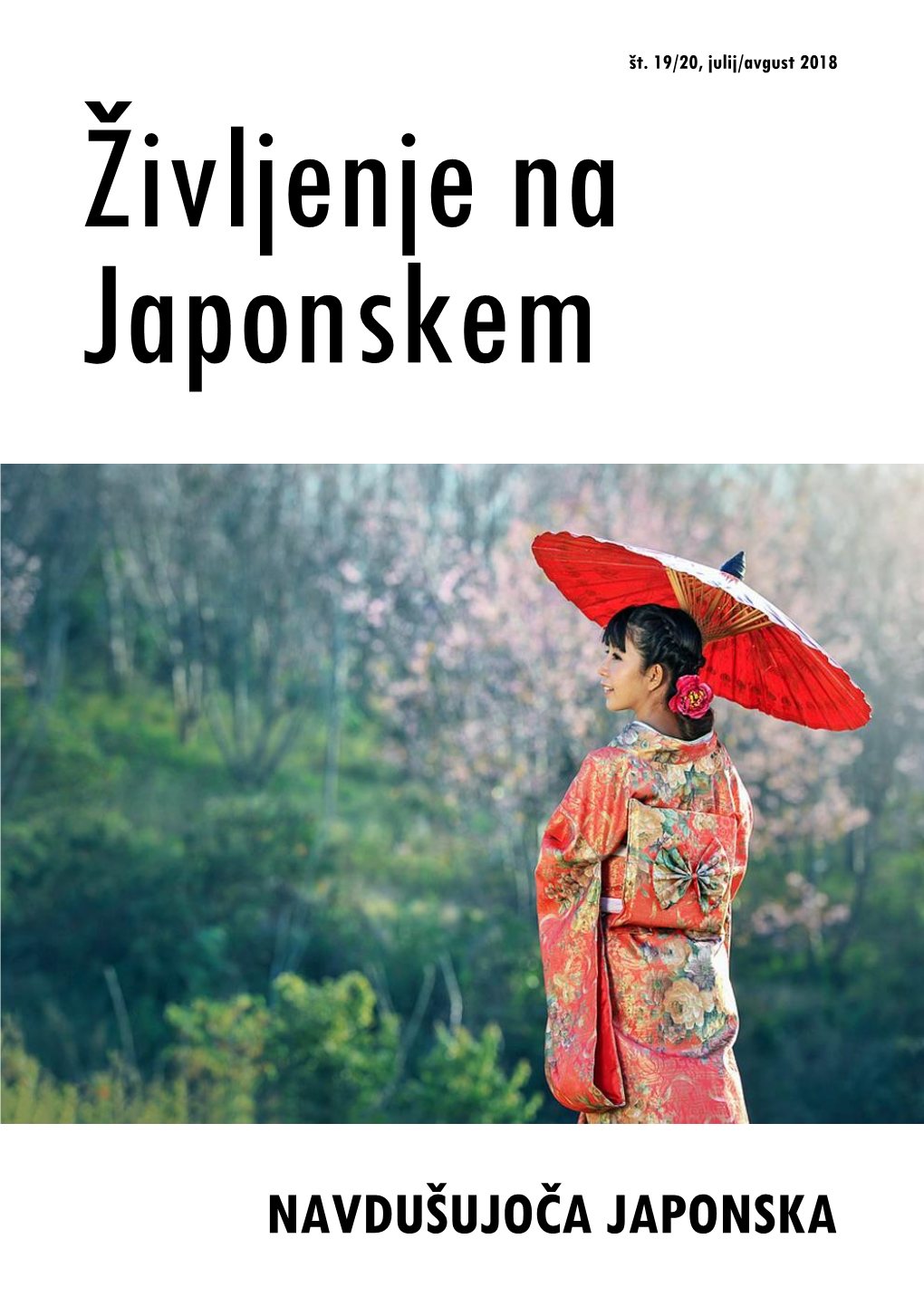 Navdušujoča Japonska