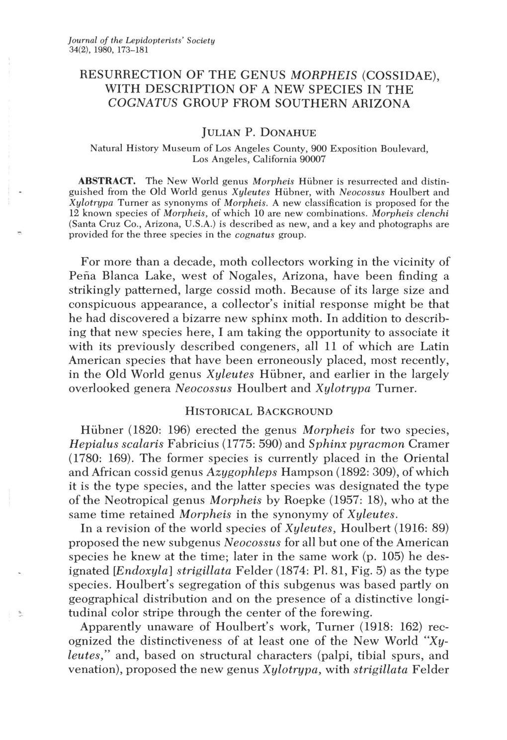 Resurrection of the Genus Morpheis (Cossidae), with Description of a New Species in the Cognatus Group from Southern Arizona