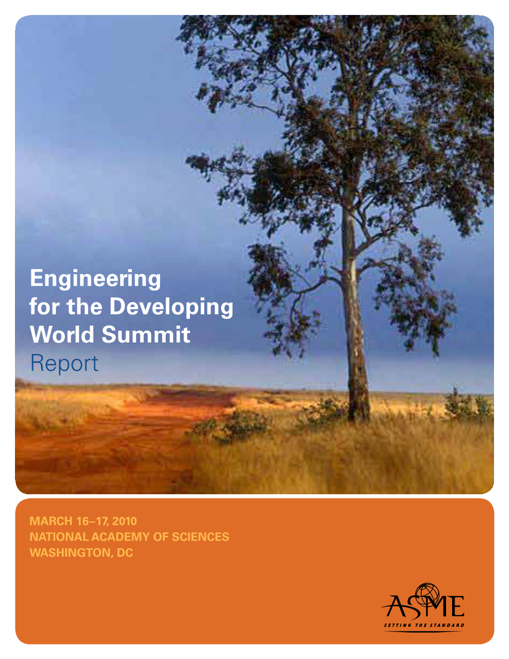 Engineering for the Developing World Summit Report