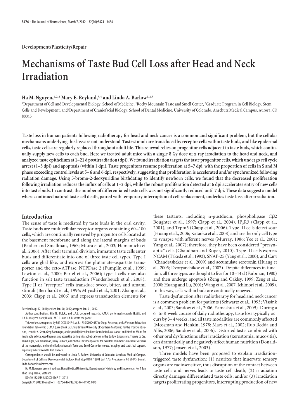 Mechanisms of Taste Bud Cell Loss After Head and Neck Irradiation