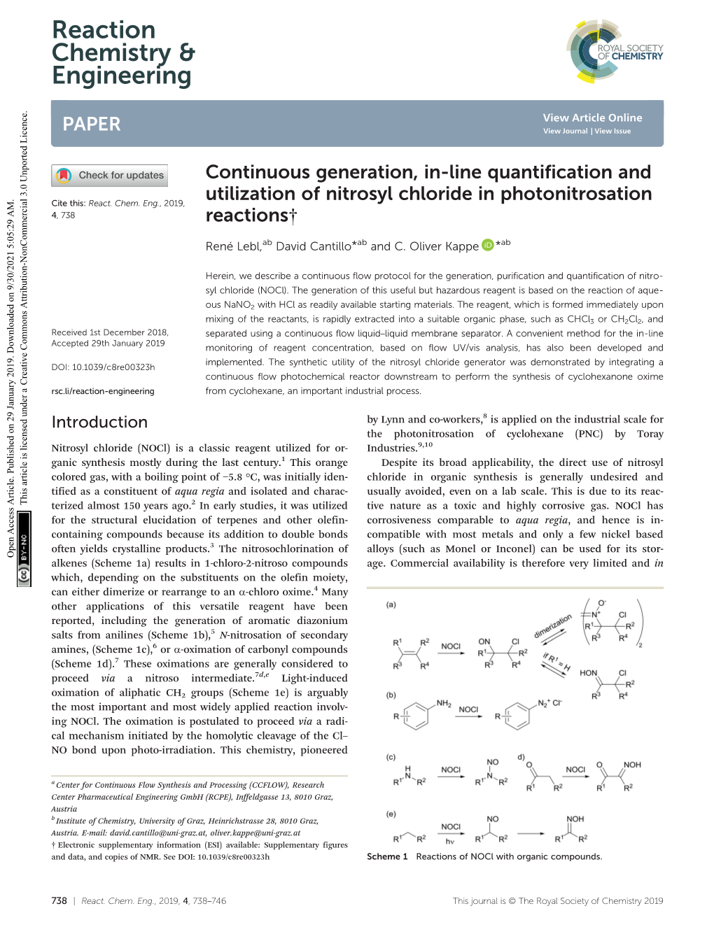 Continuous Generation, In-Line Quantification and Utilization Of