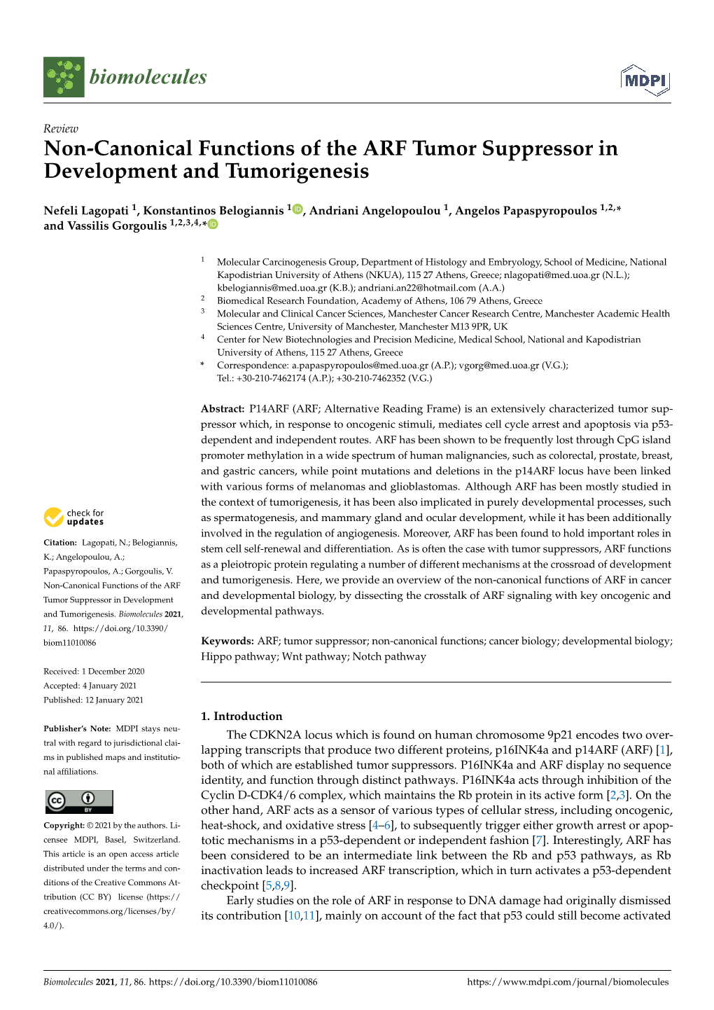 Non-Canonical Functions of the ARF Tumor Suppressor in Development and Tumorigenesis