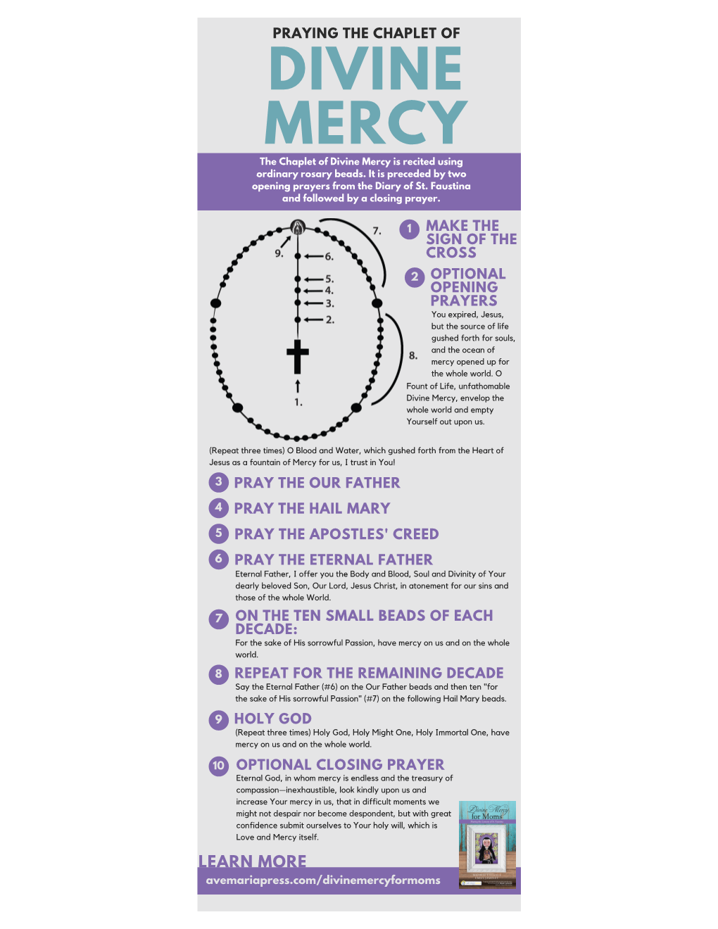 Divine Mercy Novena Infographic 2