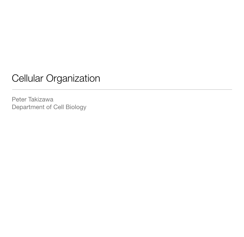 Cellular Organization