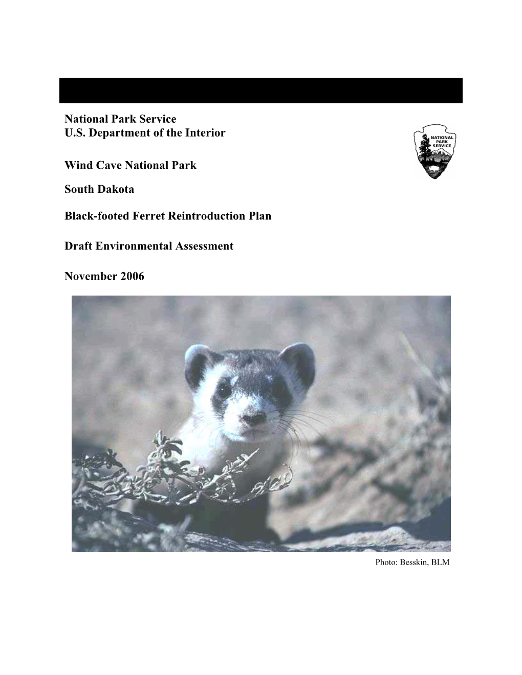 Black-Footed Ferret Reintroduction Plan