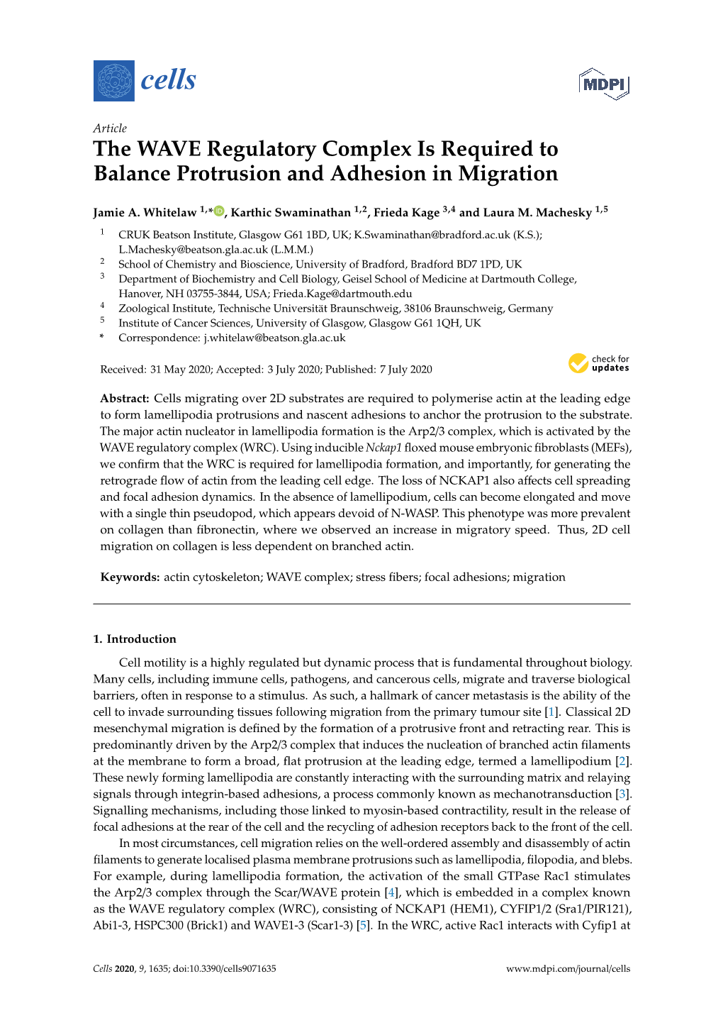 The WAVE Regulatory Complex Is Required to Balance Protrusion and Adhesion in Migration