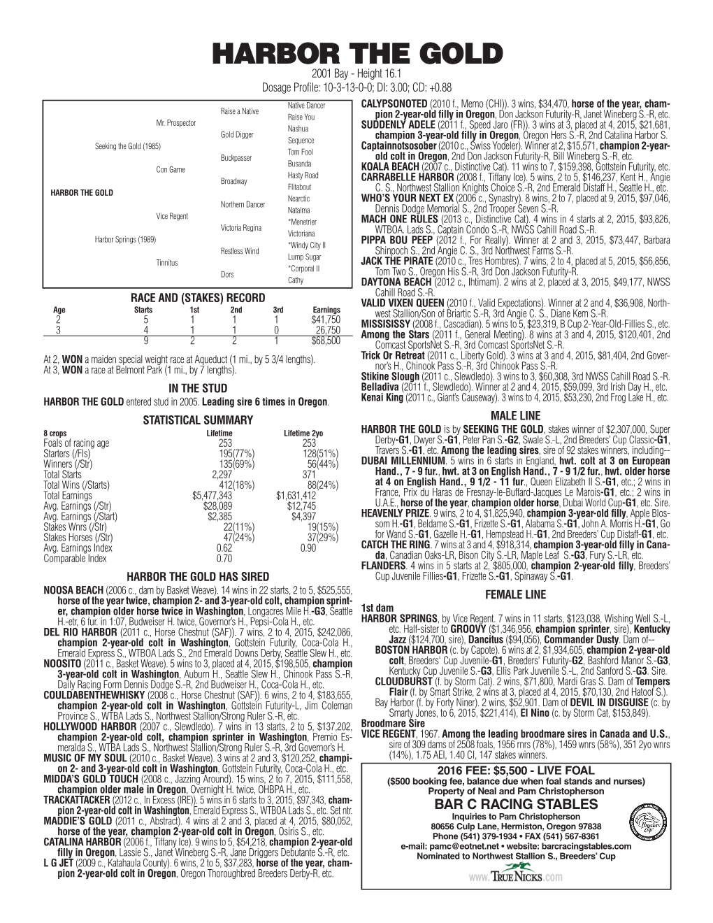 HARBOR the GOLD 2001 Bay - Height 16.1 Dosage Profile: 10-3-13-0-0; DI: 3.00; CD: +0.88