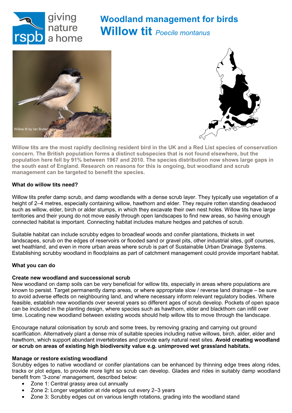 Willow Tit Advisory Sheet