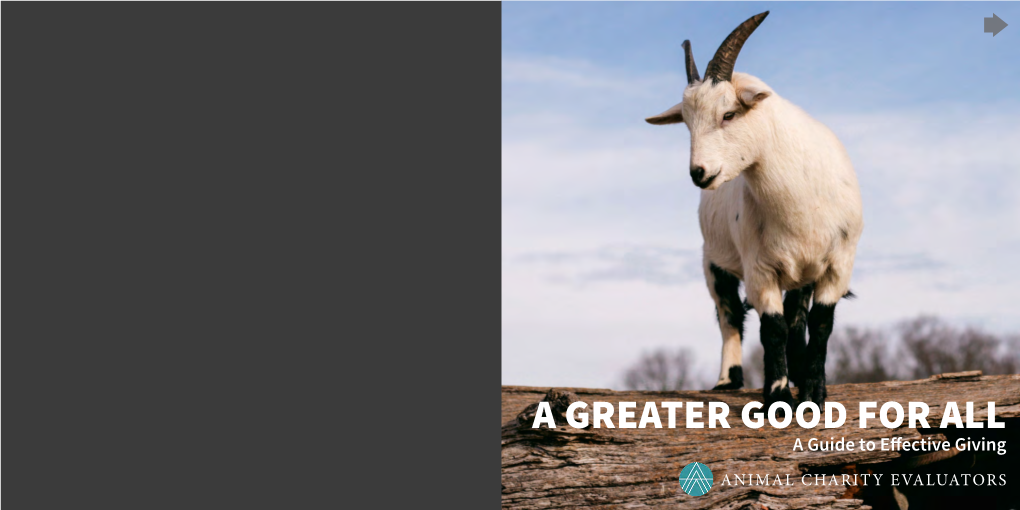 A GREATER GOOD for ALL a Guide to Effective Giving