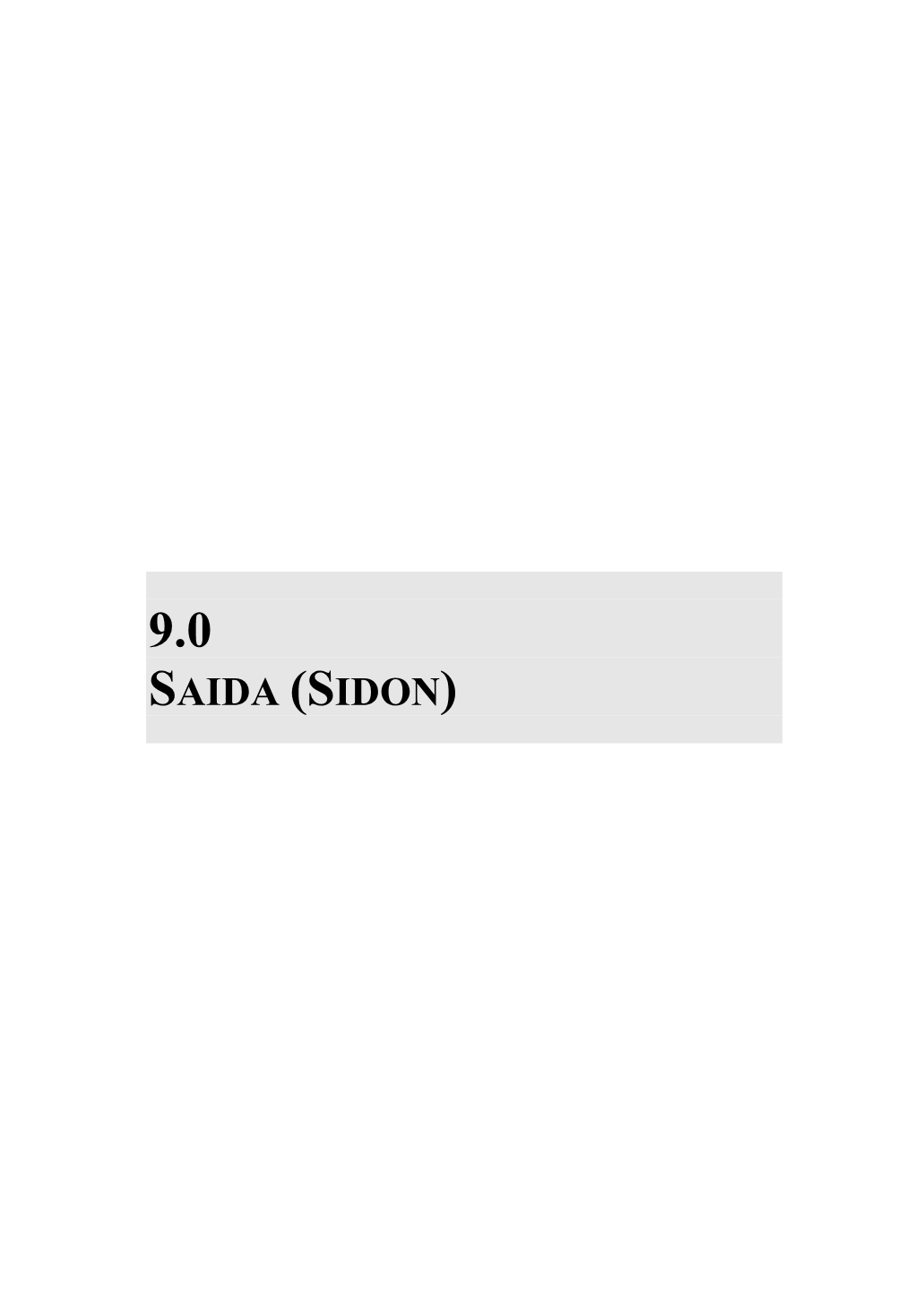 9.0 Saida (Sidon)