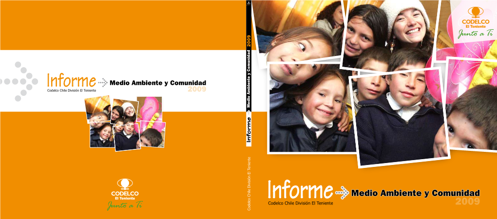 Informe Medio Ambiente Y Comunidad 2009