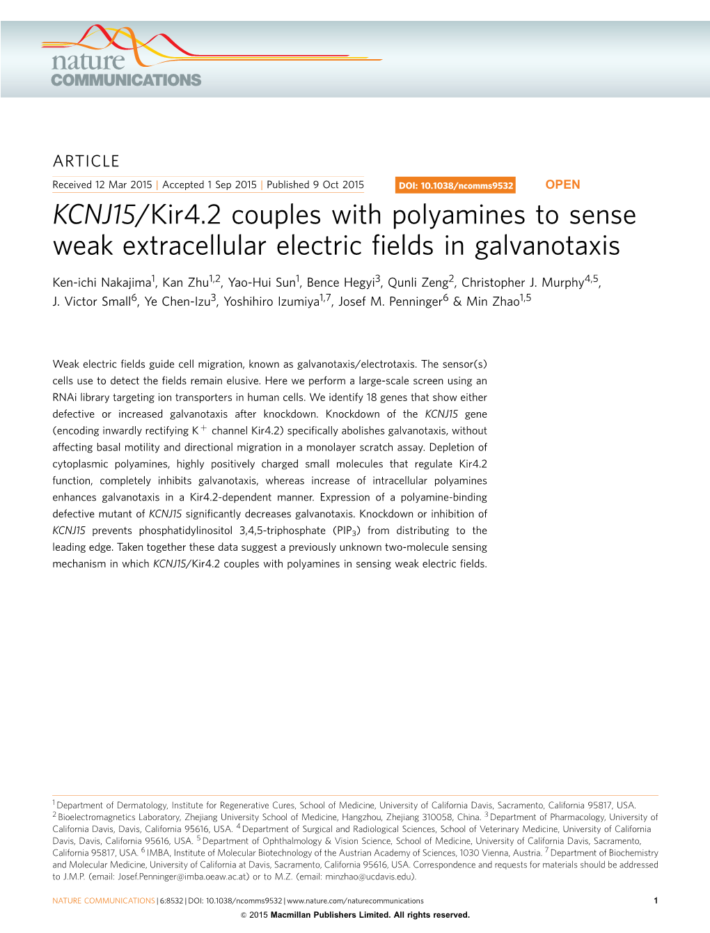 KCNJ15/Kir4.2 Couples with Polyamines to Sense Weak Extracellular Electric ﬁelds in Galvanotaxis