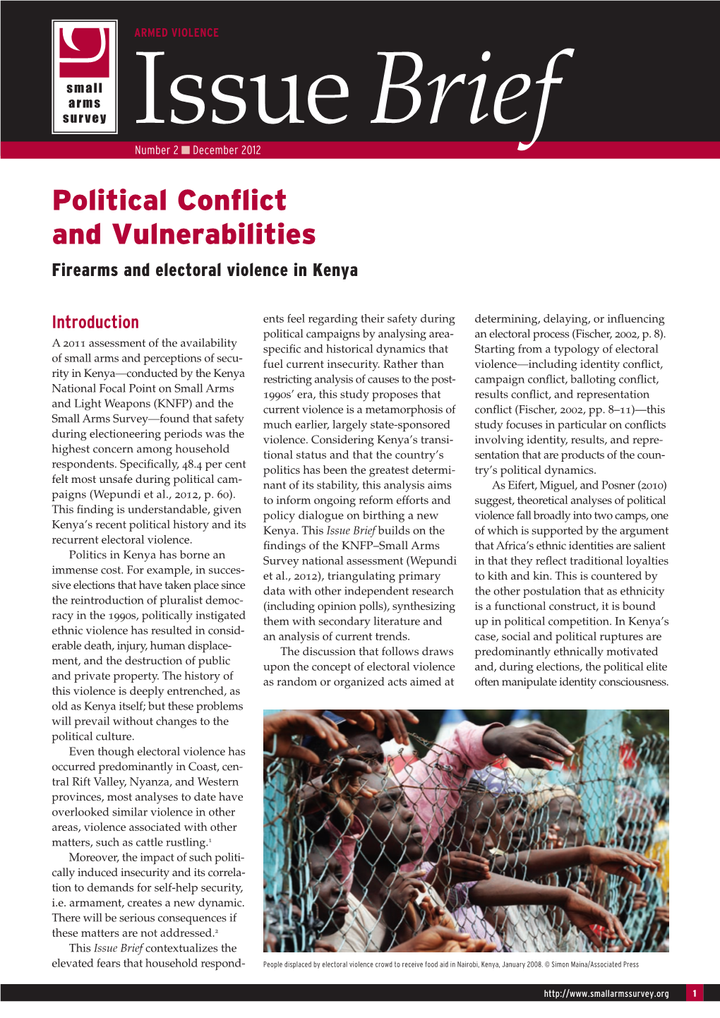 Political Conflict and Vulnerabilities: Firearms And