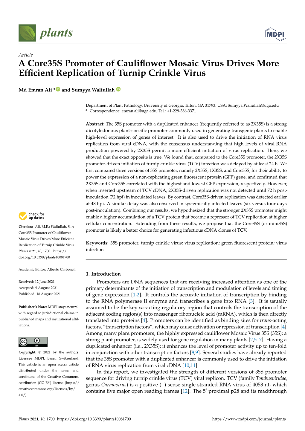 A Core35s Promoter of Cauliflower Mosaic Virus Drives More Efficient