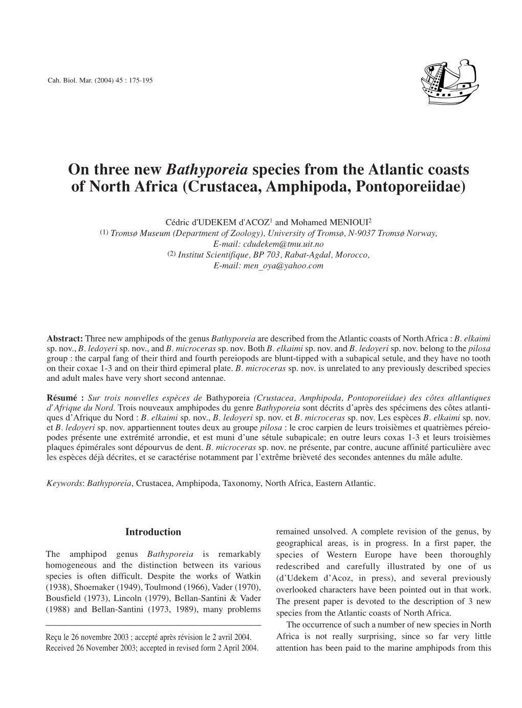 On Three New Bathyporeia Species from the Atlantic Coasts of North Africa (Crustacea, Amphipoda, Pontoporeiidae)