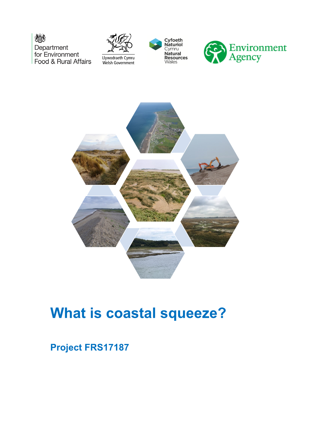 What Is Coastal Squeeze?