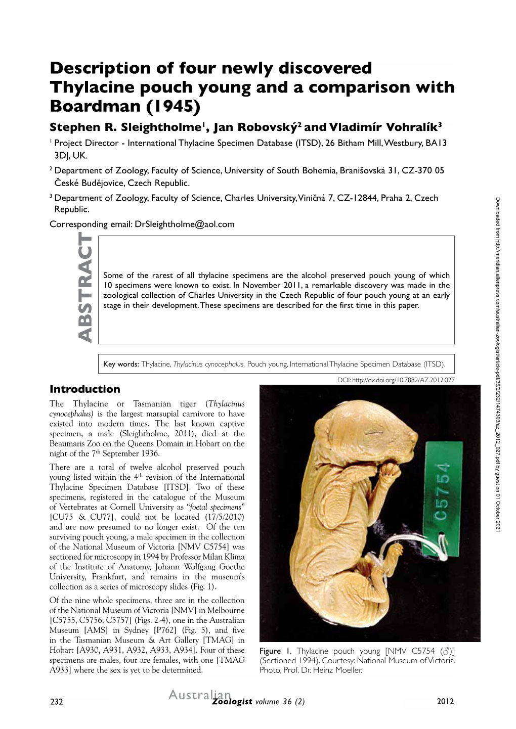 Description of Four Newly Discovered Thylacine Pouch Young and a Comparison with Boardman (1945) Stephen R