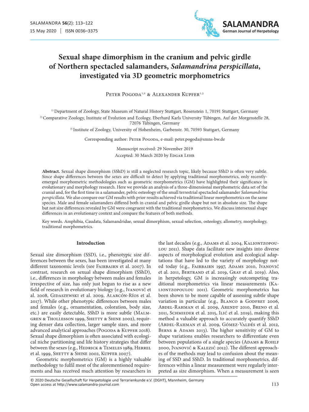 Sexual Shape Dimorphism in the Cranium and Pelvic Girdle of Northern Spectacled Salamanders, Salamandrina Perspicillata, Investigated Via 3D Geometric Morphometrics