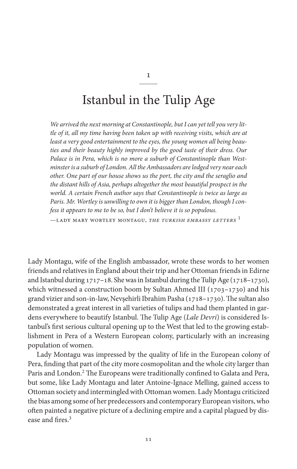 Istanbul in the Tulip Age