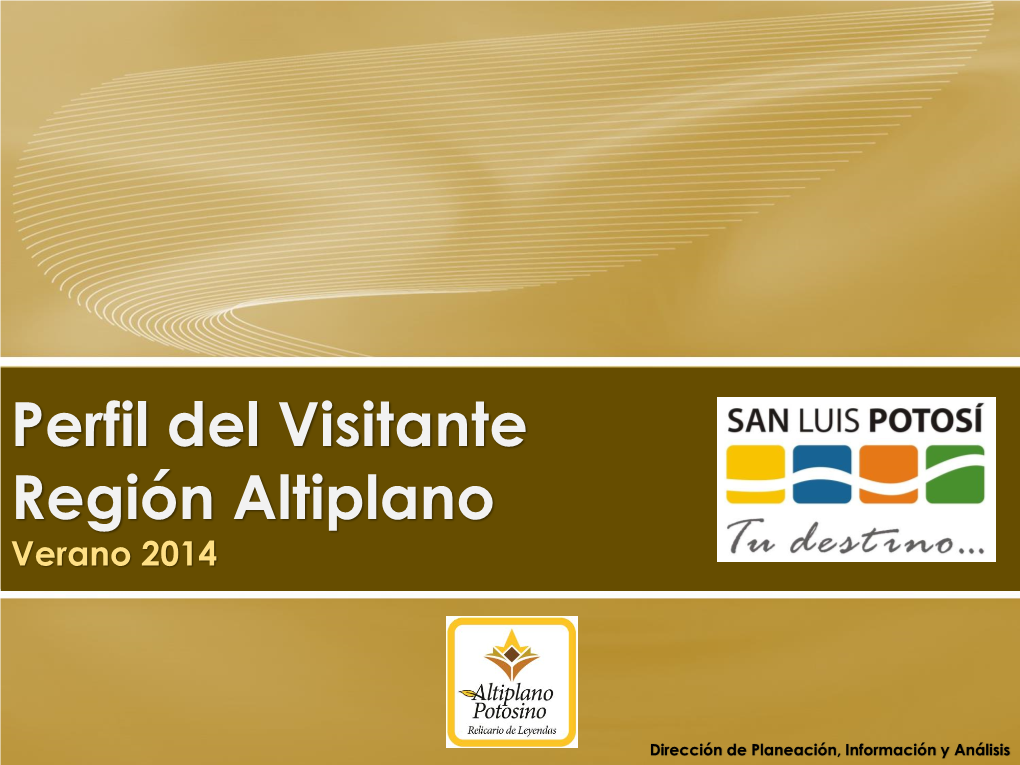 Perfil Del Visitante Región Altiplano Verano 2014