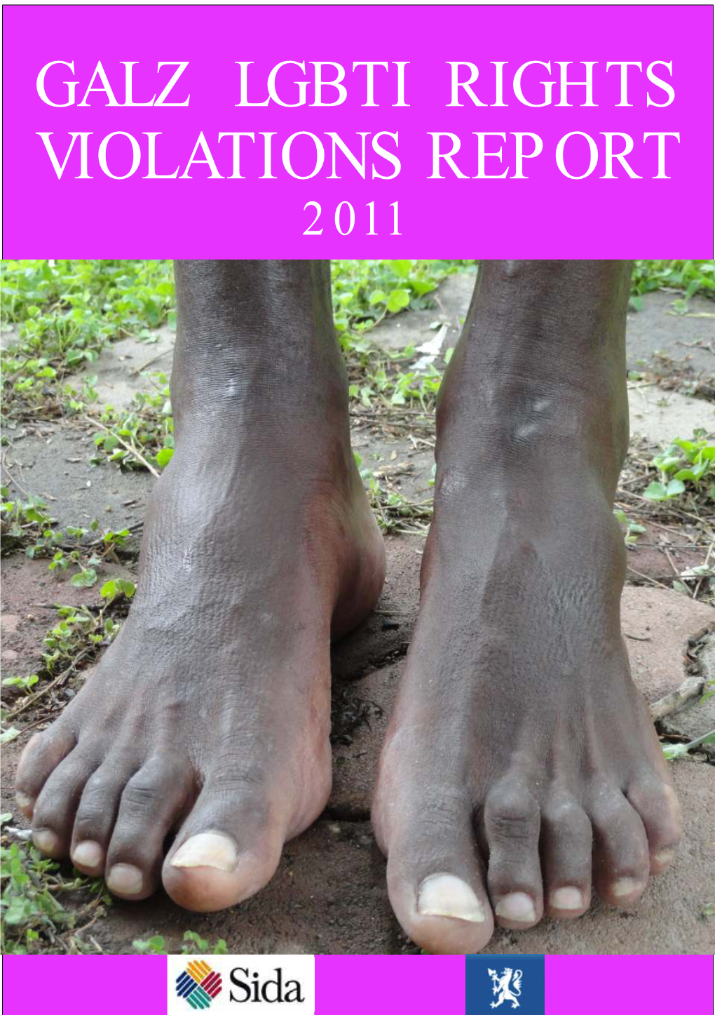 GALZ LGBTI Rights Violation Report 2011
