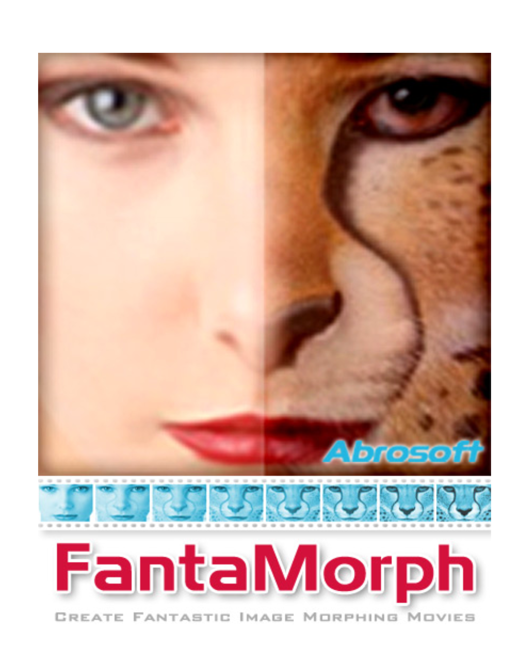 How to Morph More Than Two Images