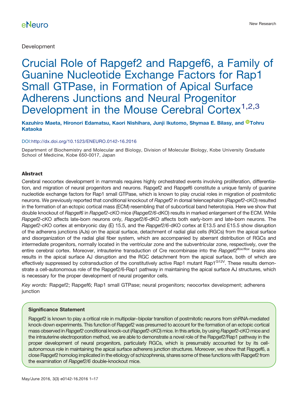 Crucial Role of Rapgef2 and Rapgef6, a Family of Guanine