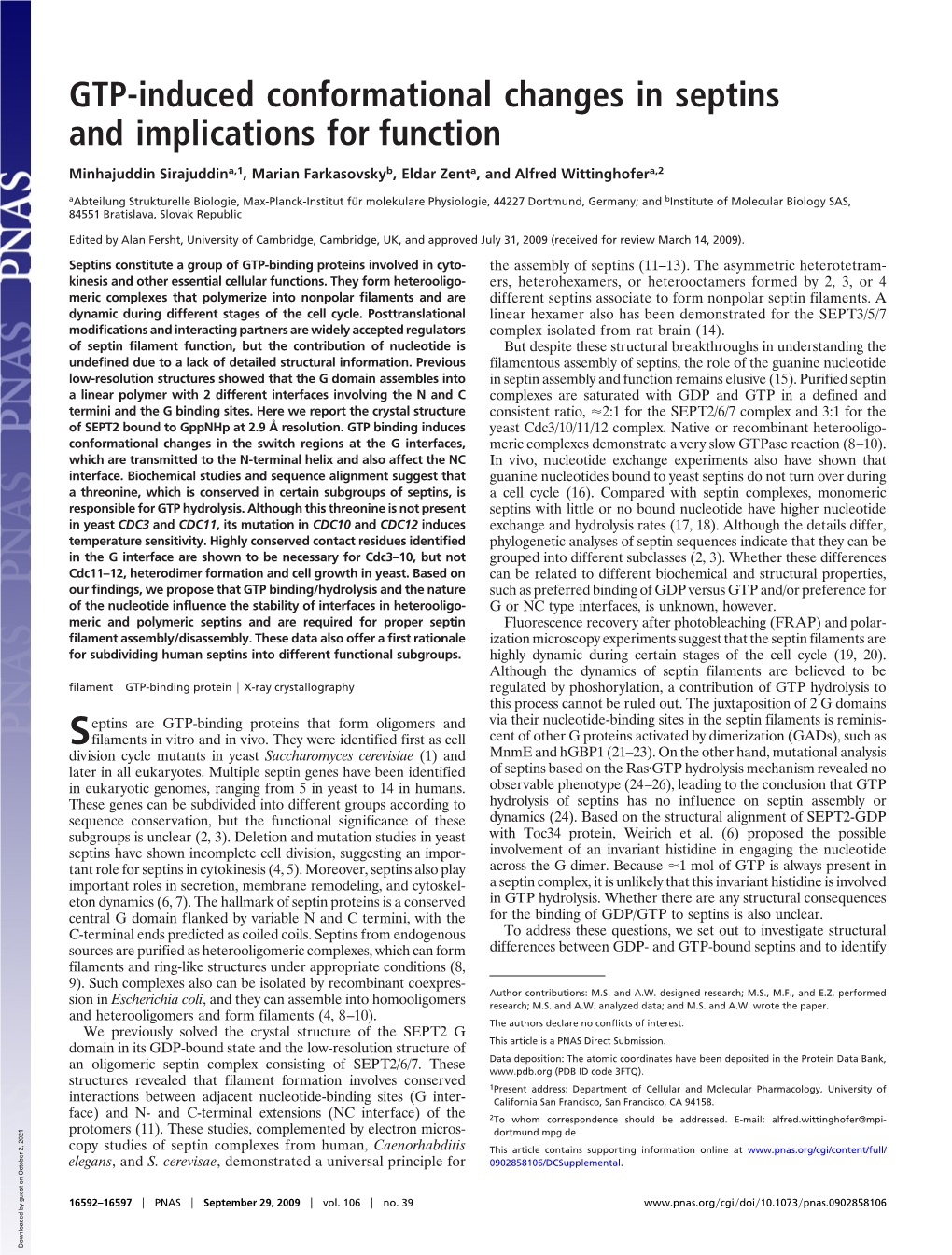 Septins and Implications for Function