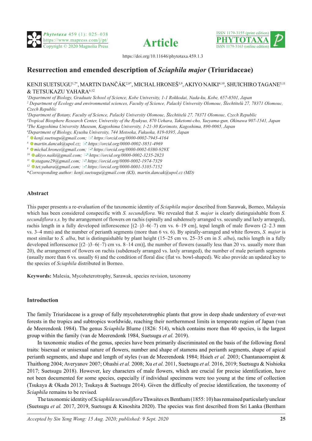 Resurrection and Emended Description of Sciaphila Major (Triuridaceae)