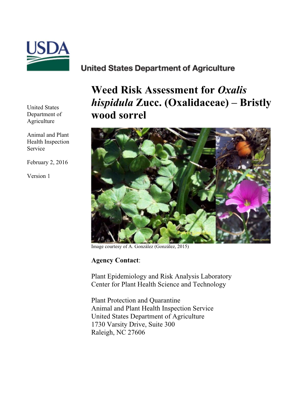 Weed Risk Assessment for Oxalis Hispidula Zucc. (Oxalidaceae)