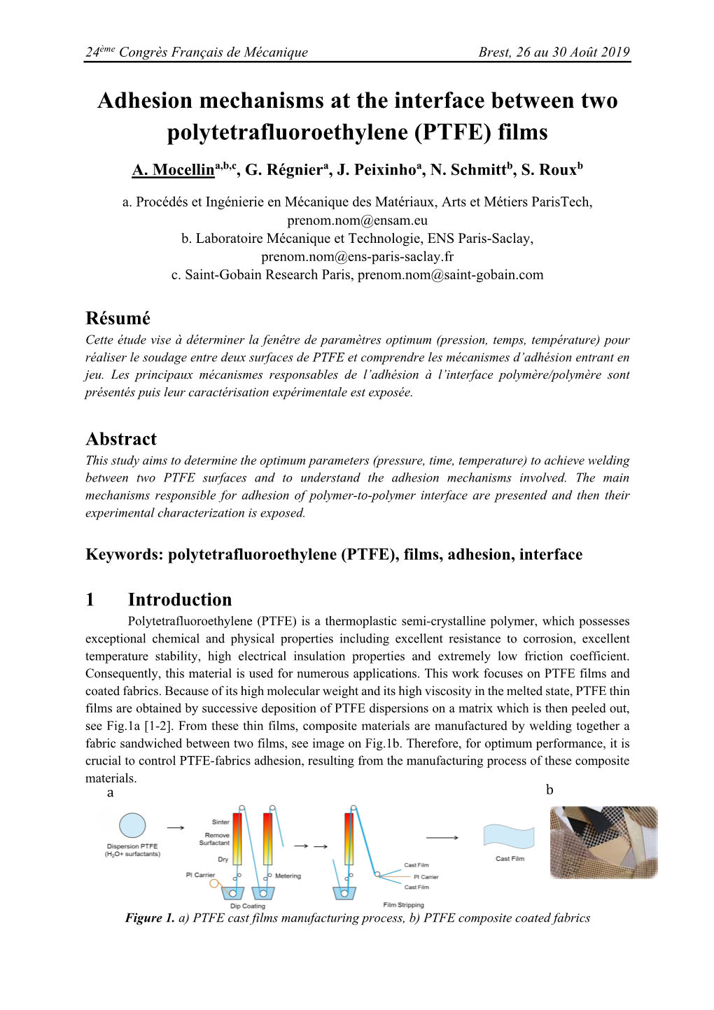 Adhesion Mechanisms at the Interface Between Two Polytetrafluoroethylene (PTFE) Films