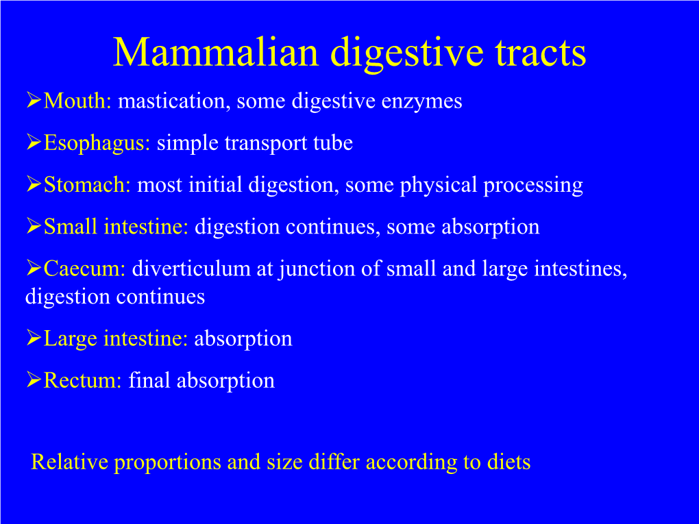 Mammalian Digestive Tracts