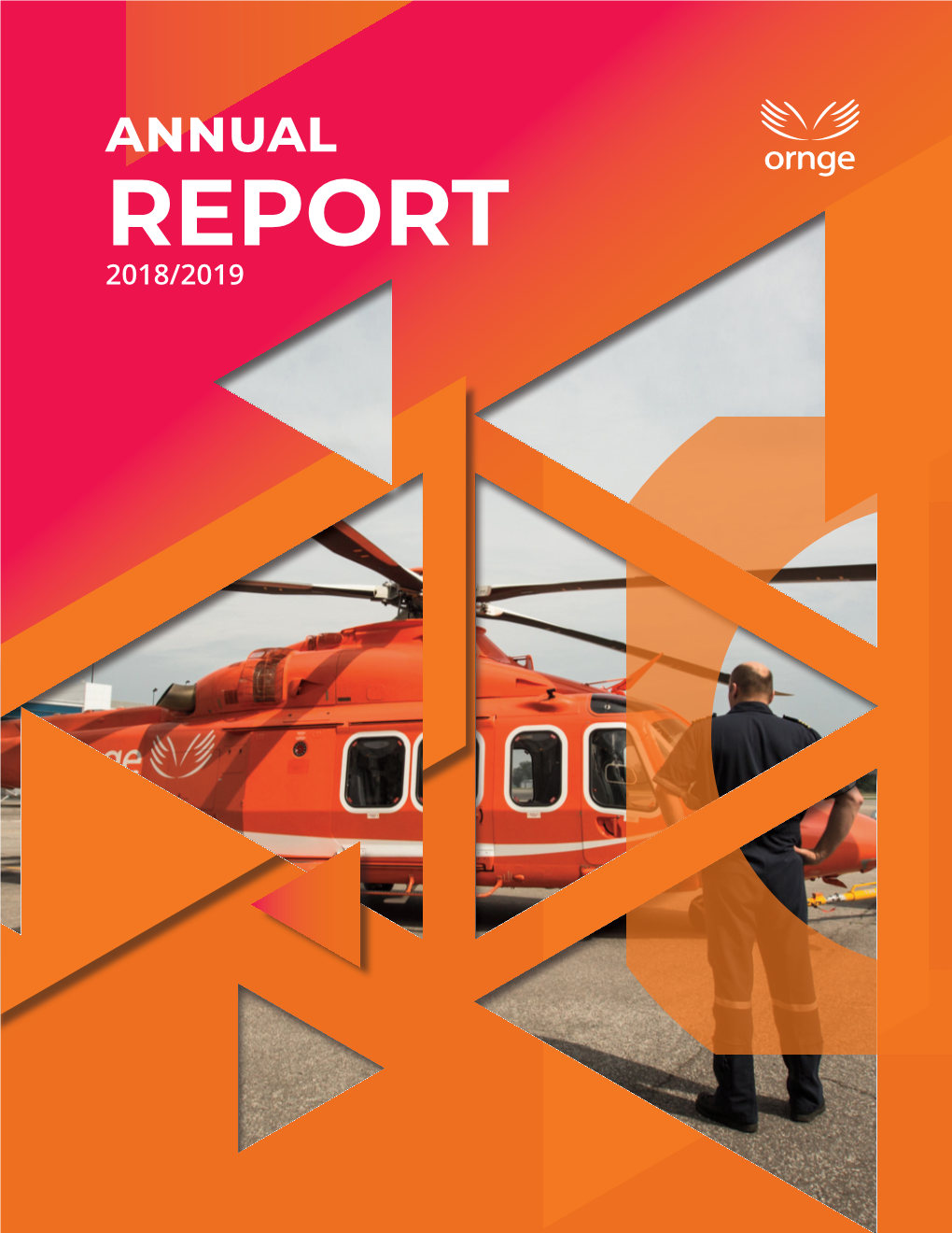 REPORT 2018/2019 Andrew L