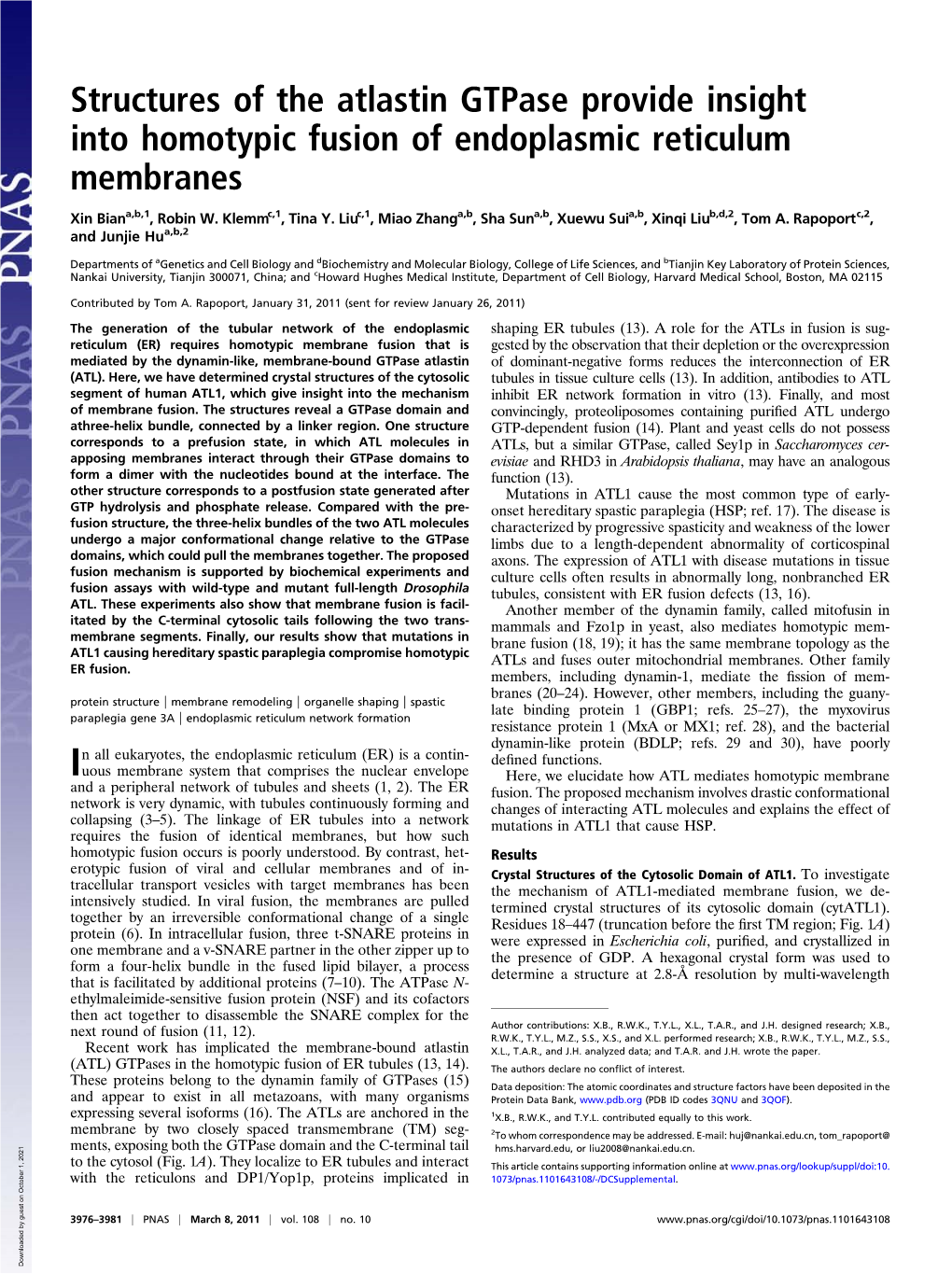 Structures of the Atlastin Gtpase Provide Insight Into Homotypic Fusion of Endoplasmic Reticulum Membranes