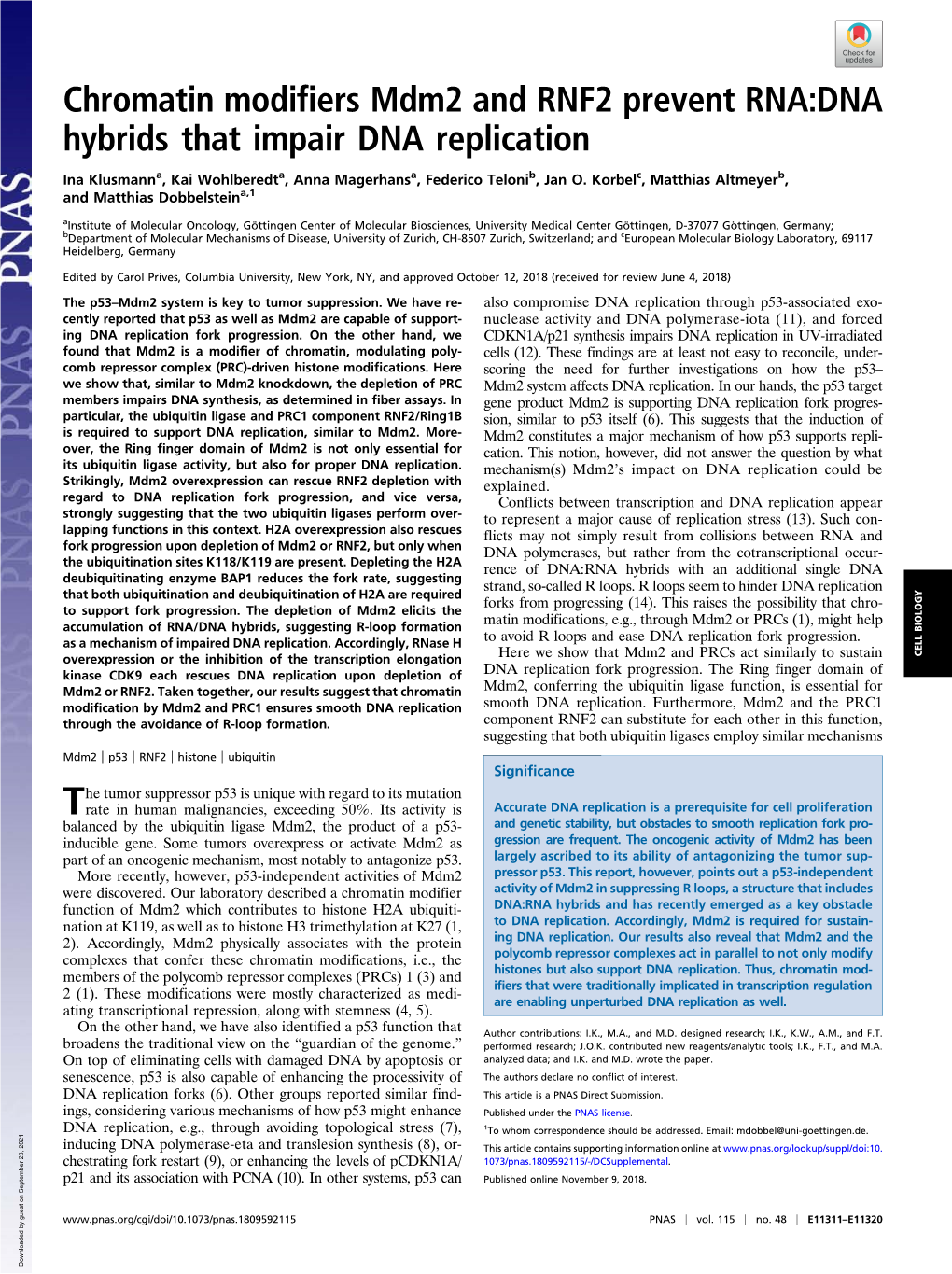 Chromatin Modifiers Mdm2 and RNF2 Prevent RNA:DNA Hybrids That Impair DNA Replication