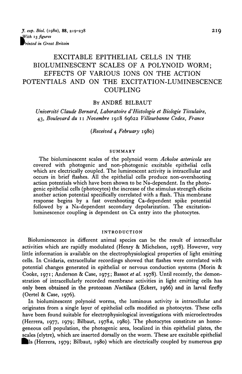 Effects of Various Ions on the Action Potentials and on the Excitation-Luminescence Coupling