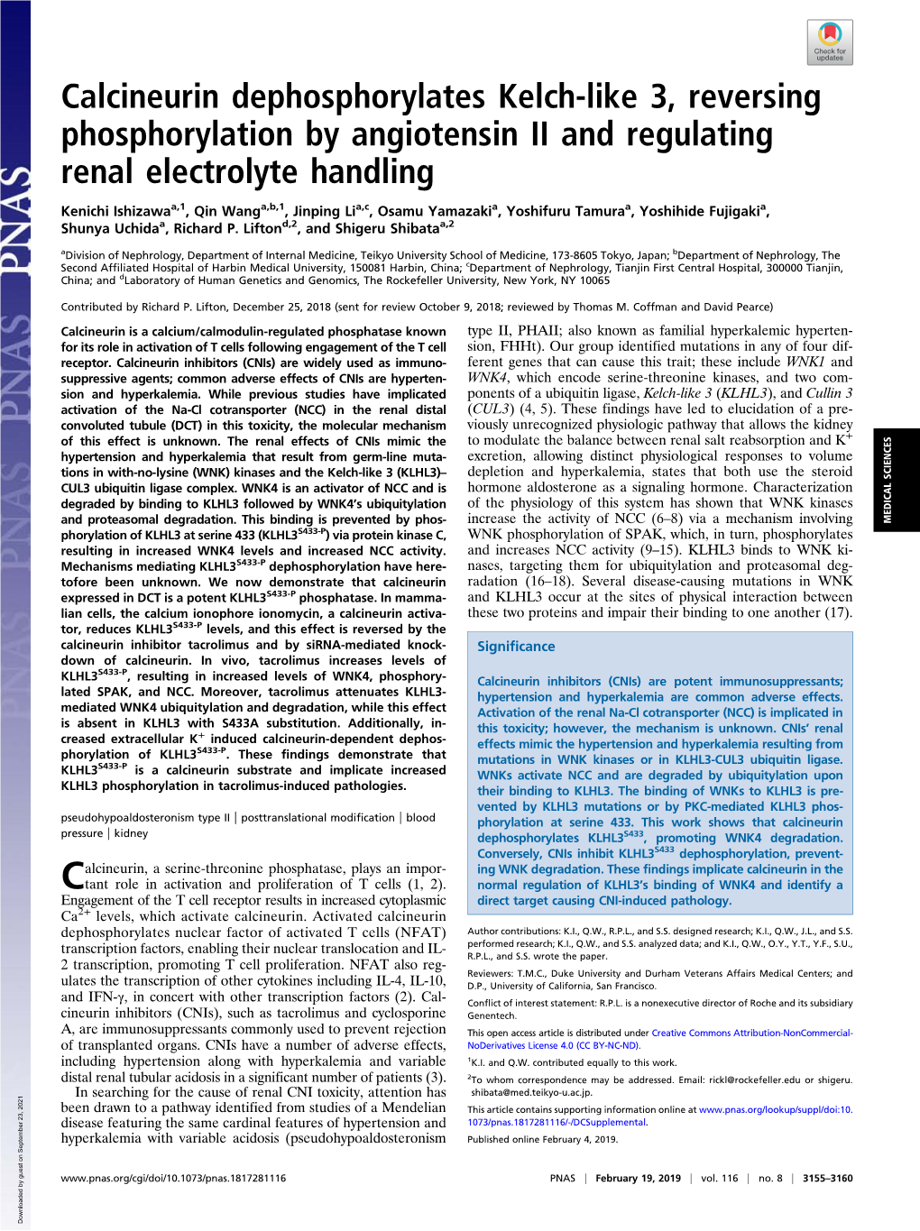 Calcineurin Dephosphorylates Kelch-Like 3, Reversing Phosphorylation by Angiotensin II and Regulating Renal Electrolyte Handling